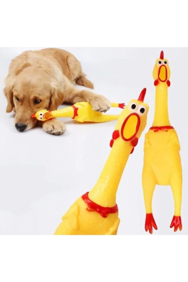 Mucit Home  Öten Tavuk Köpek Oyuncağı Medium 30 Cm
