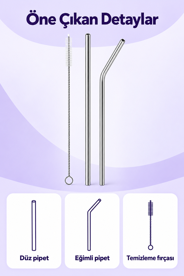 Mucit Home 2 Li Paslanmaz Çelik Pipet + Temizleme Fırçası
