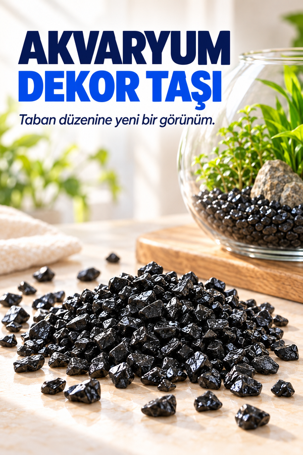 Mucit Home Siyah Beyaz Fanus Taşı Akvaryum Balık Taşı