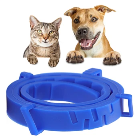 Mucit Home Köpek Pire ve Bit Kovucu Engelleyeci Tasma Boyunluk 62 cm