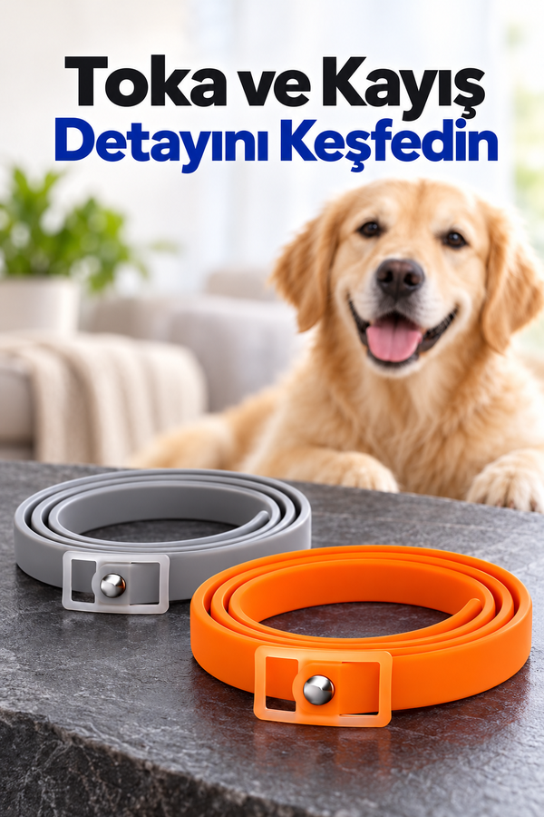 Mucit Home Köpek Pire ve Bit Kovucu Engelleyeci Tasma Boyunluk 62 cm