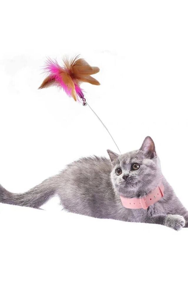 Mucit Home Kedi Boyun Oltası Hareketli Tüylü Ayarlanabilir Kedi Oyuncağı Eğlenceli Tasma
