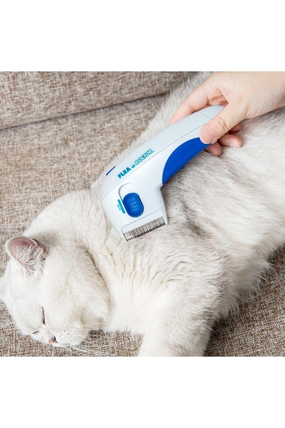 Mucit Home Pilli Kedi Ve Köpek Tarağı