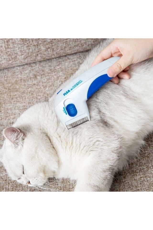 Mucit Home Pilli Kedi Ve Köpek Tarağı