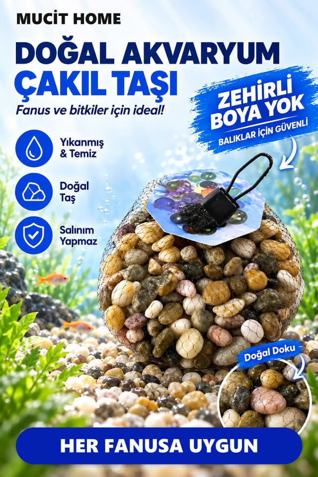 Mucit Home Kahve Doğal Taş Fanus Taşı Akvaryum Balık Taşı