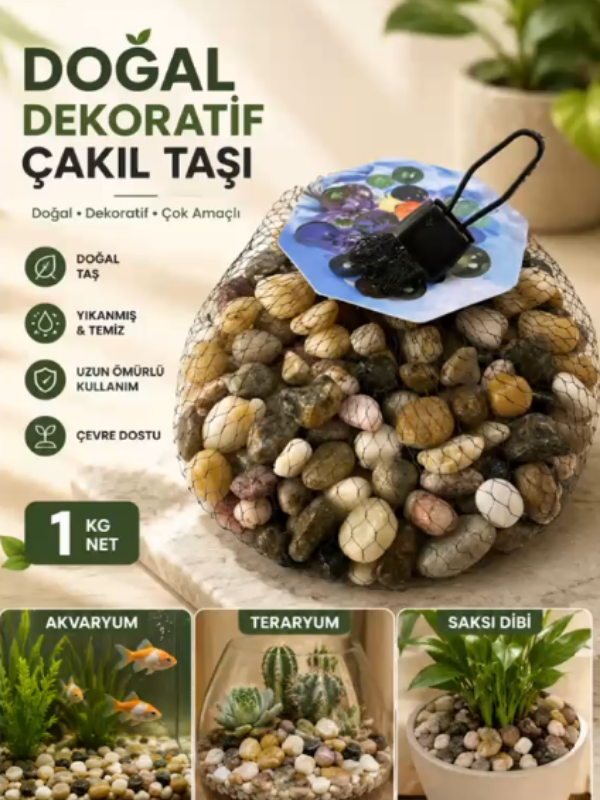 Mucit Home Kahve Doğal Taş Fanus Taşı Akvaryum Balık Taşı