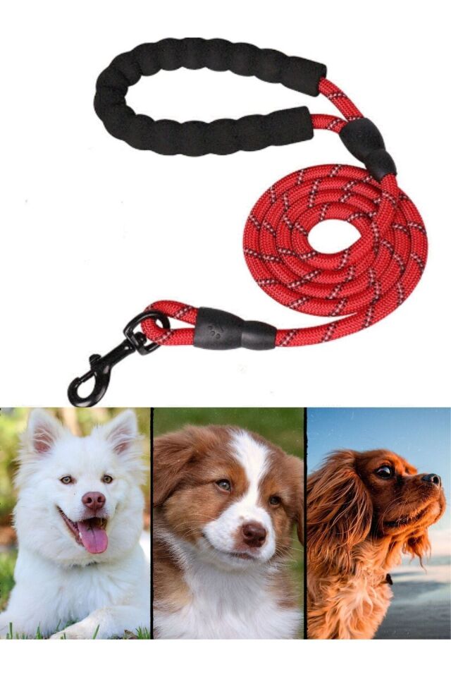 Mucit Home   Köpek Gezdirme Tasma Kayışı 40 Kg'a Kadar Köpekler Için Tasma Halatı Gezdirme Ipi 150 Cm
