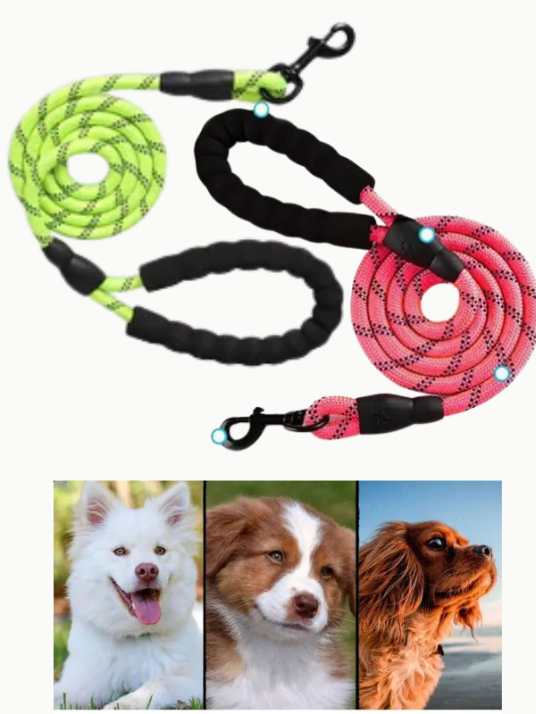 Mucit HomeFosfor Renkli Gece Görüşüne Özel Reflektörlü Tasma Halatı Gezdirme ipi 130 cm