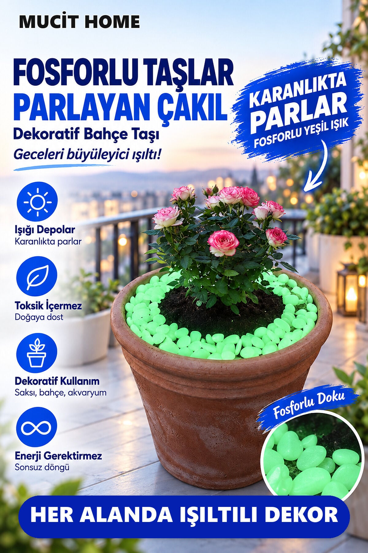 Mucit Home Fosforlu Teraryum Fanus Taşı Saksı Çiçek Dibi Taşları 50 Adet