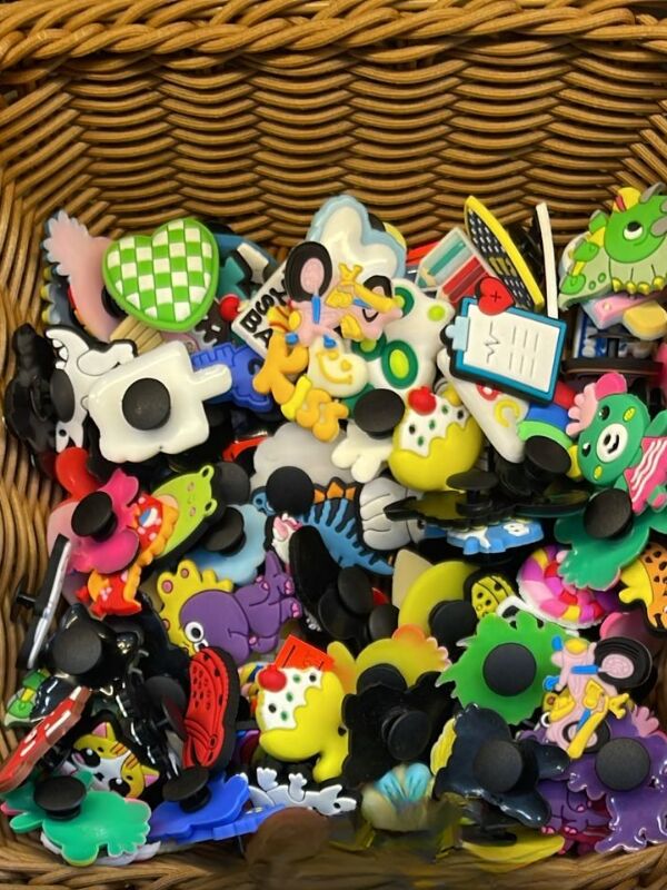 Mucit Home Tüm Terliklere Uyumlu Terlik Süsü 10 Adet Unisex Karışık Gönderim