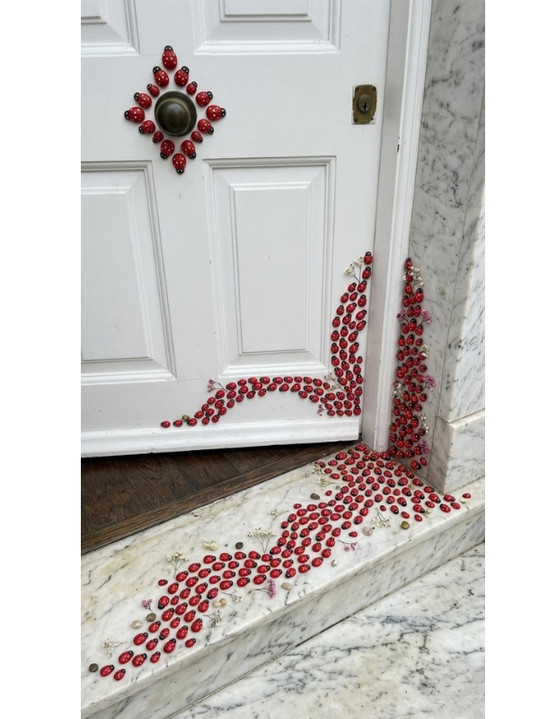 Mucit Home 50 Adet Uğur Böceği Mini Kapı Süsü Aile İsmine Özel Sayıda -Çok Amaçlı Kullanım