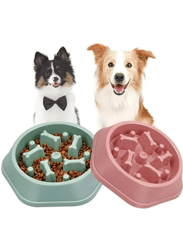 Mucit Home Köpek Mama Kabı Yavaş Besleyici Gıda Dağıtıcı Yavaş Yeme Köpek Mama Kabı