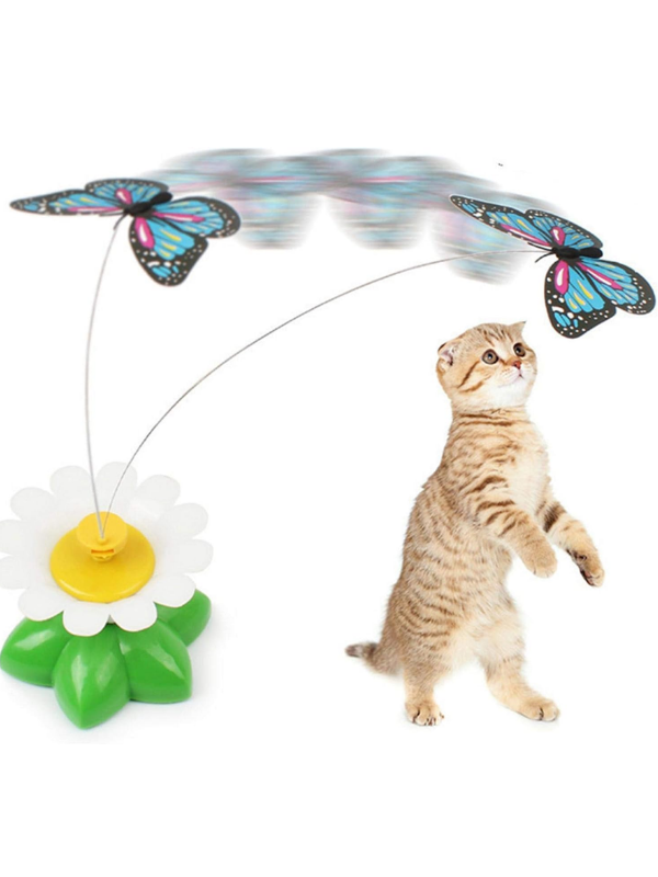 Mucit Home Kuş Başlıklı Dikkat Çekici Hareketli Dönen Pilli Kedi Oyuncağı
