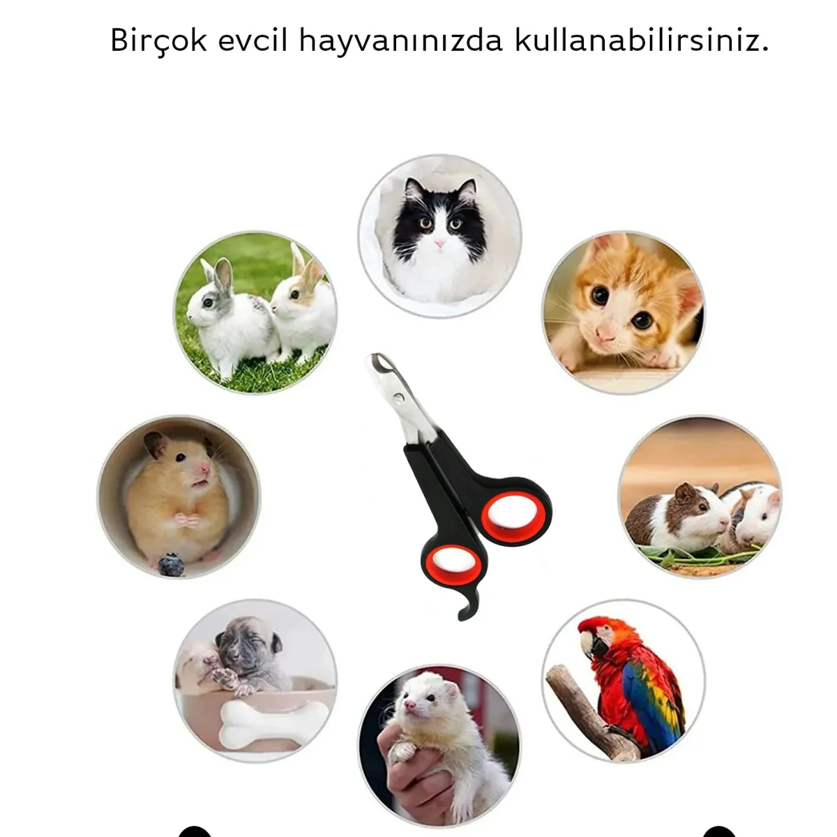 Mucit Home   Evcil Hayvanlar İçin Tırnak Makası/ Kedi Köpek Pet Tırnak Makası