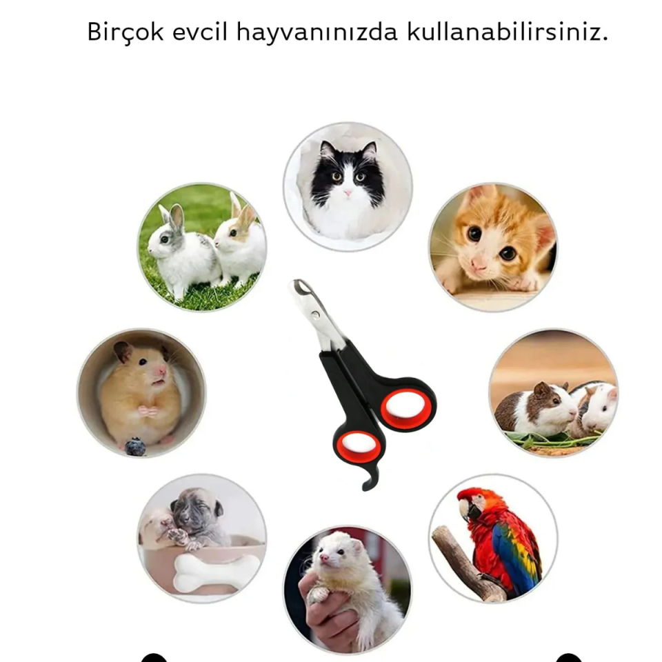 Mucit Home   Evcil Hayvanlar İçin Tırnak Makası/ Kedi Köpek Pet Tırnak Makası