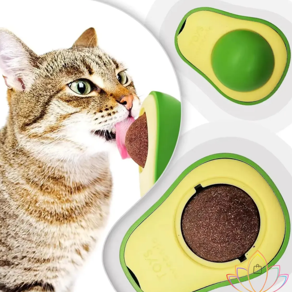 Mucit Home  Yenilebilir Doğal Avokado Stili Kedi Çimeni Dönen Topu